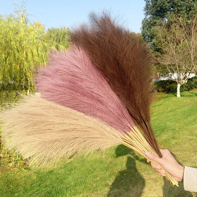 PampasParty (das fluffige Farben-Bouquet)