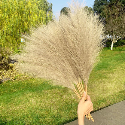 PampasParty (das fluffige Farben-Bouquet)