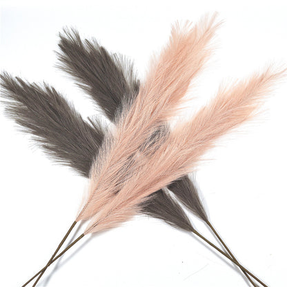 PampasGras (die flauschige Deko)