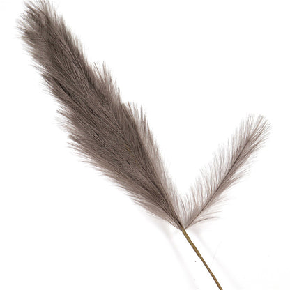 PampasGras (die flauschige Deko)